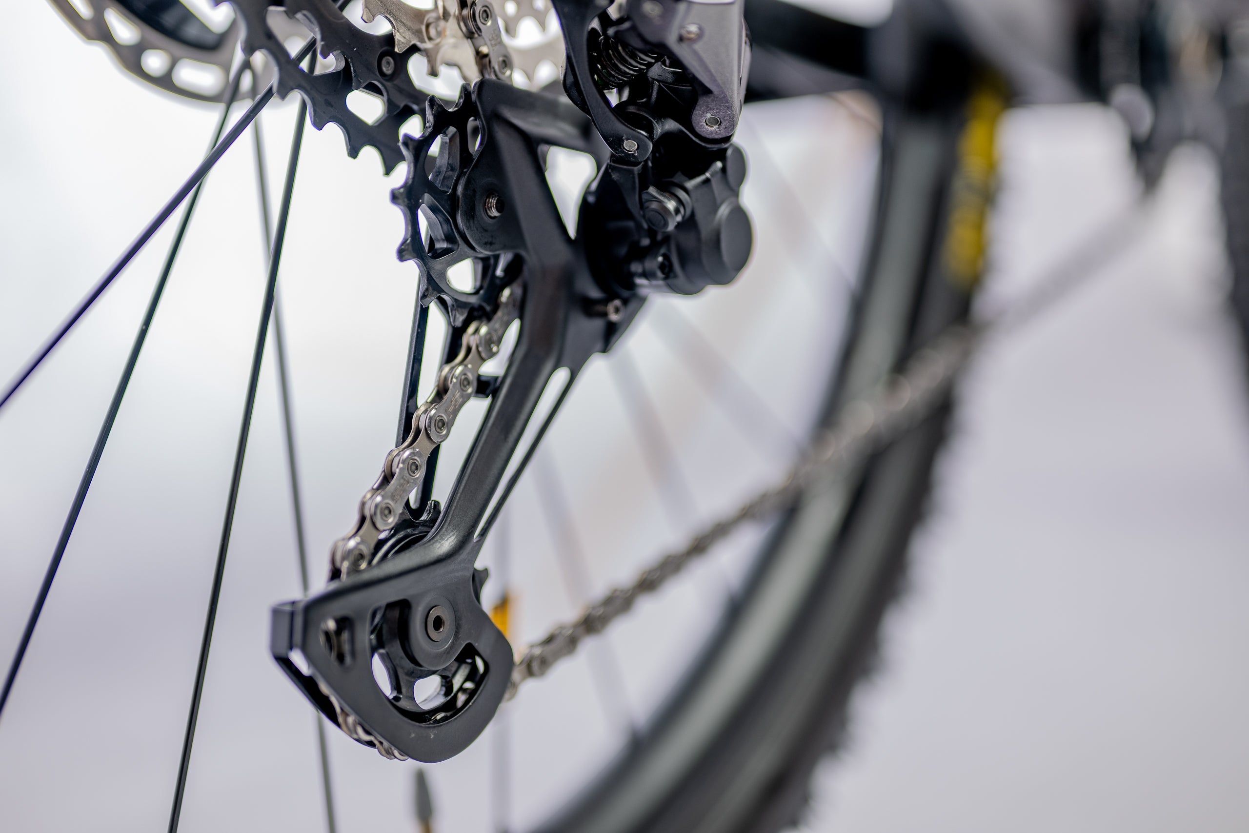 PROOFY ISBERQ XT Limited Edition